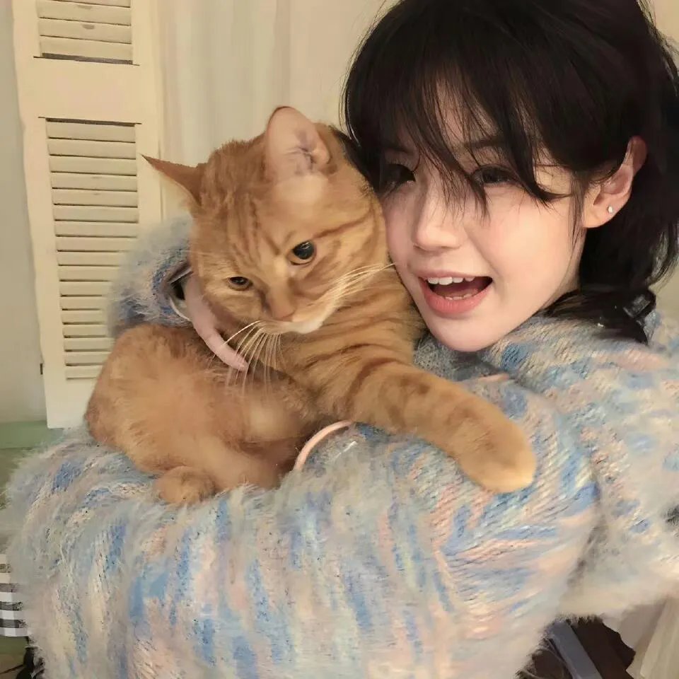 三生三世十里桃花2017